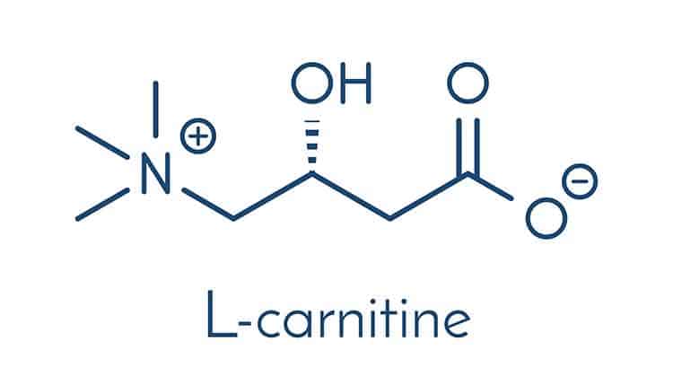 L-Carnitine what is it