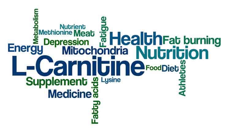 What does L-Carnitine do