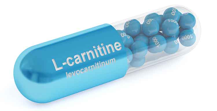 L-Carnitine supplements