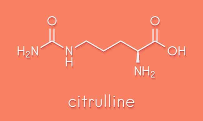 Citrulline Malate Supplements