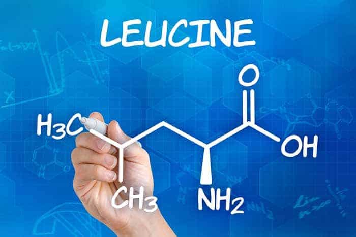 Leucine BCAA