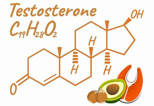 testosterone boosting foods